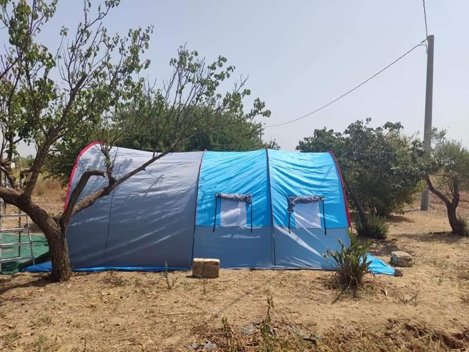 Aree Tende Presso La Casa In Campagna Di Ottavia Hotell Alezio Eksteriør bilde
