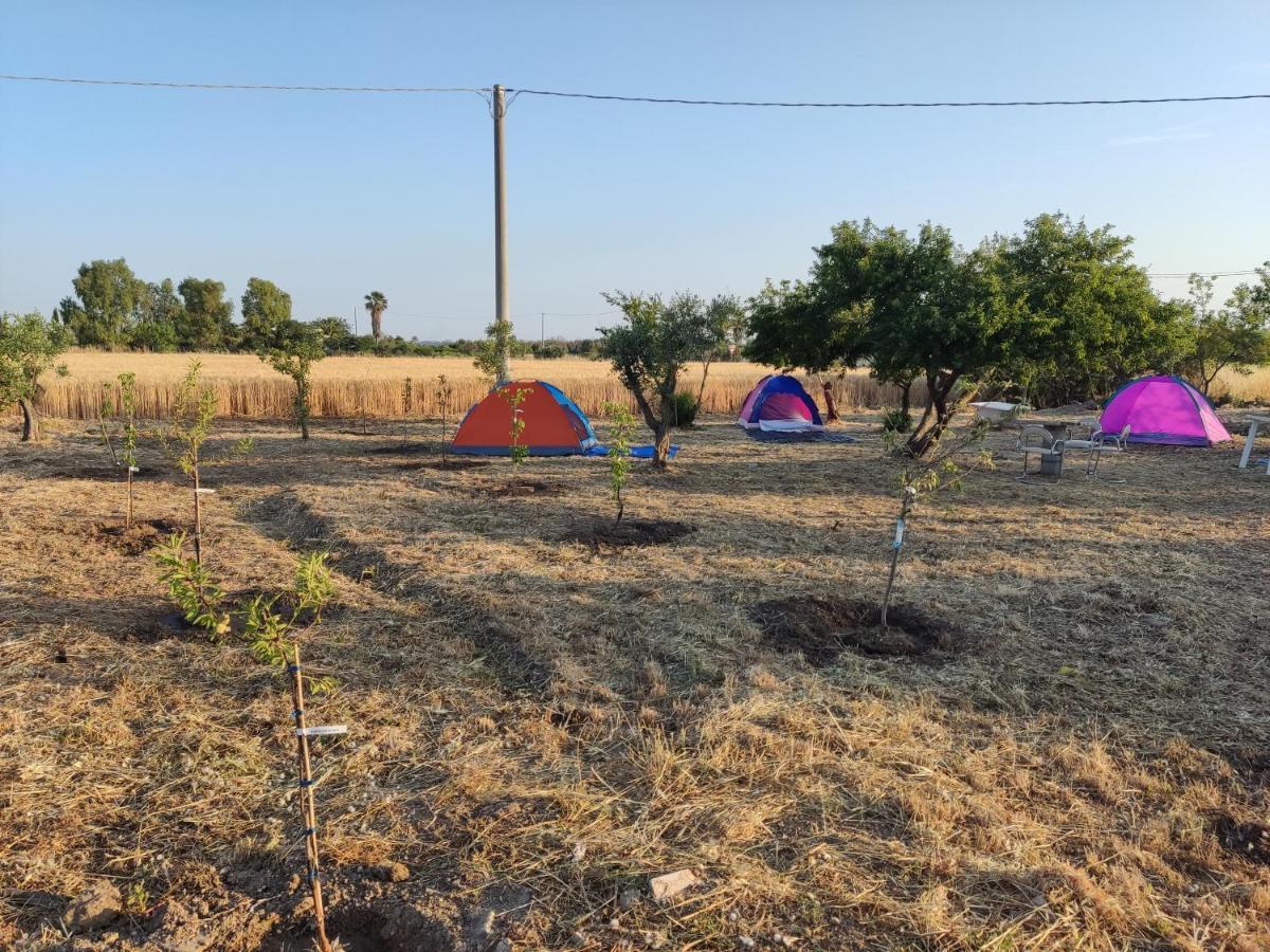 Aree Tende Presso La Casa In Campagna Di Ottavia Hotell Alezio Eksteriør bilde